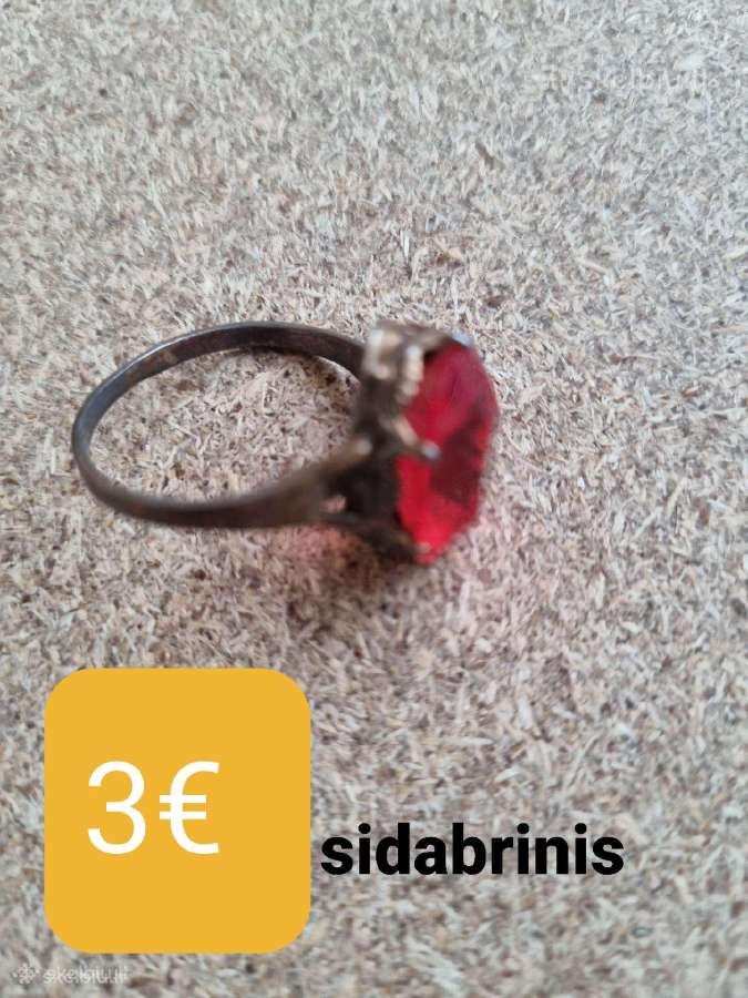 Senoviniai niekučiai - nuotraukos Nr. 29