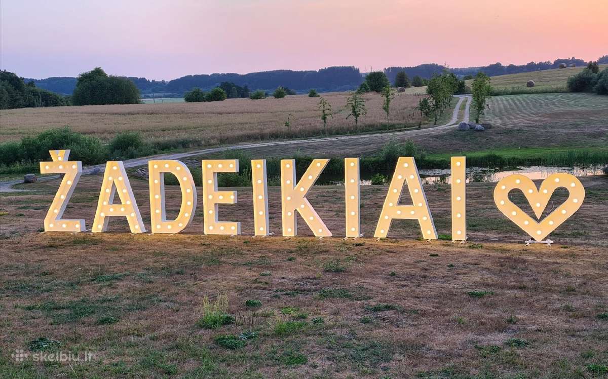 Šviečiančių raidžių ir skaičių nuoma jūsų šventėms - nuotraukos Nr. 27