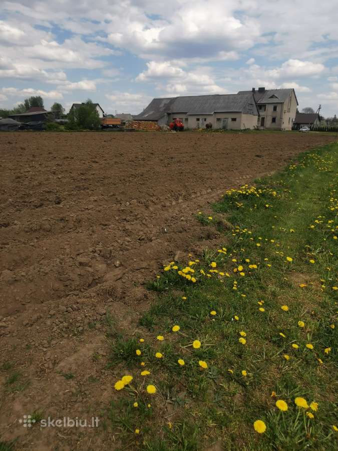 Rietavo savivaldybėje - nuotraukos Nr. 7
