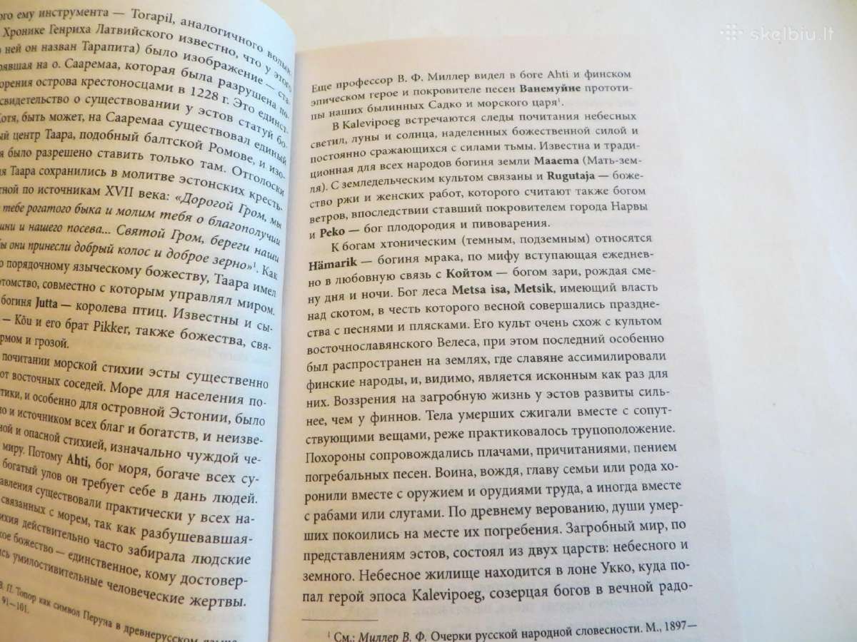 Knyga Kryžiaus žygis į Rusiją, 2007 - nuotraukos Nr. 6