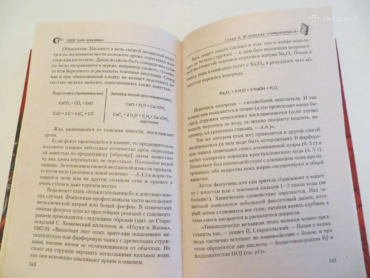 Knyga 1000 Alchemijos paslapčių, 2004 m. - nuotraukos Nr. 19