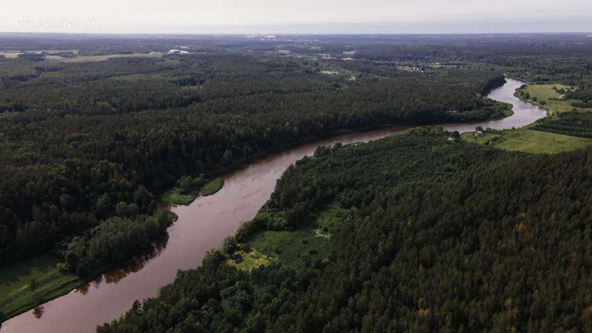 Žemė su mišku