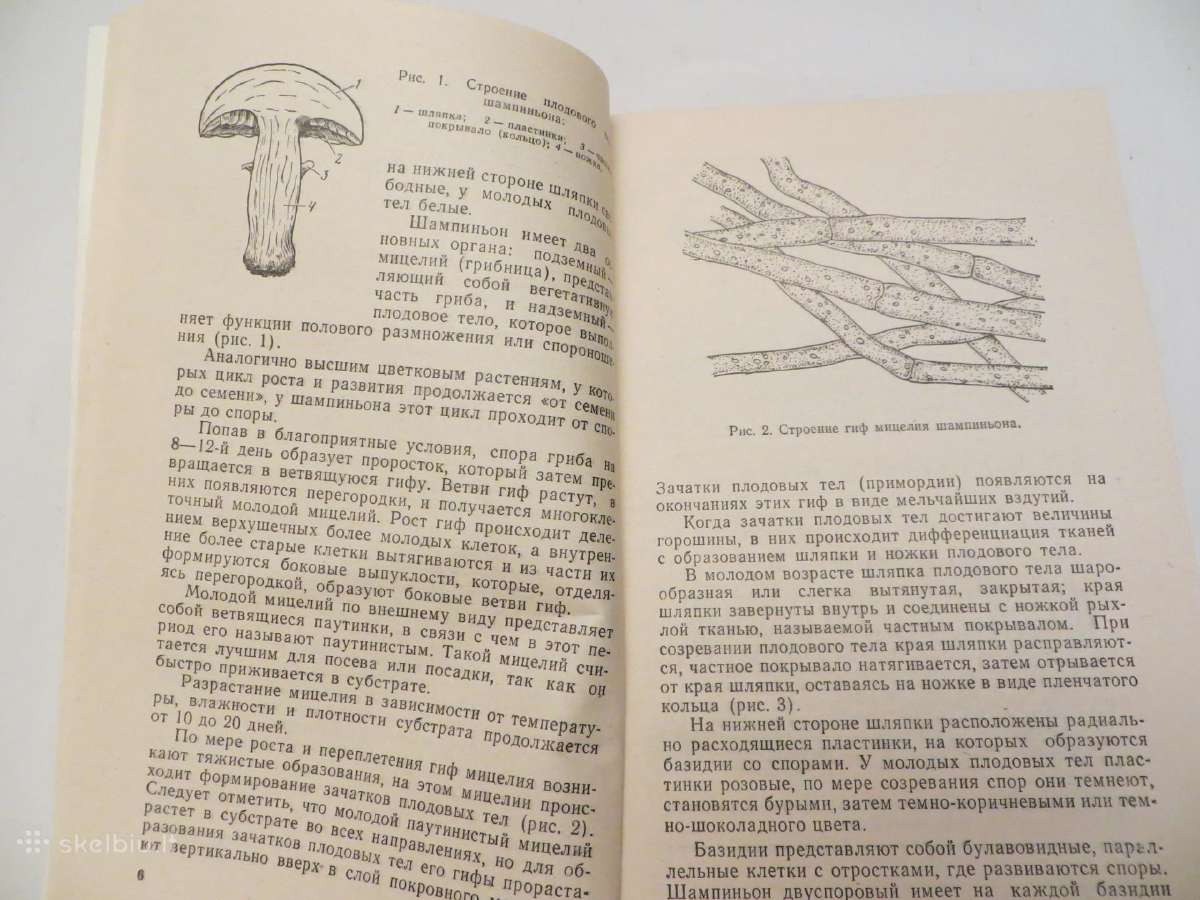 Knyga Šampinjonai. Jų auginimas, priežiūra 1989 - nuotraukos Nr. 5