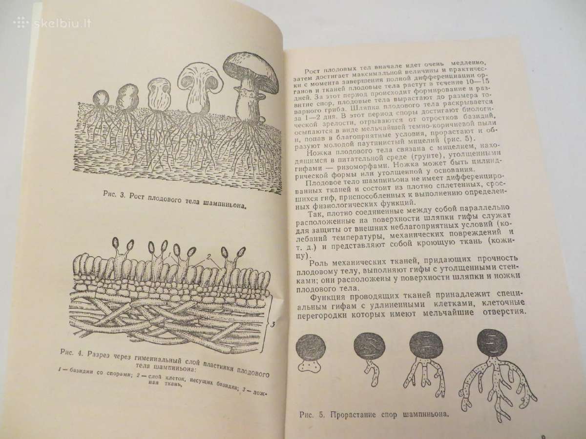 Knyga Šampinjonai. Jų auginimas, priežiūra 1989 - nuotraukos Nr. 6