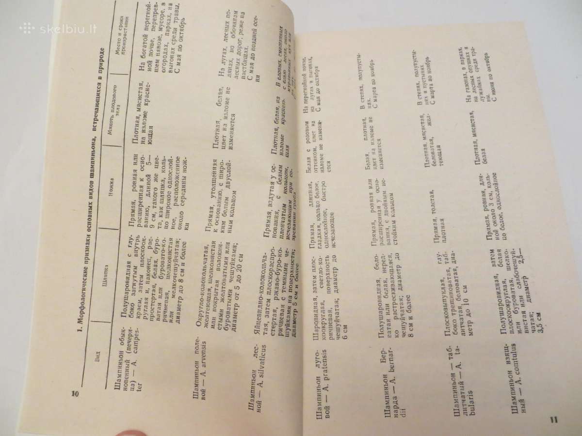 Knyga Šampinjonai. Jų auginimas, priežiūra 1989 - nuotraukos Nr. 7