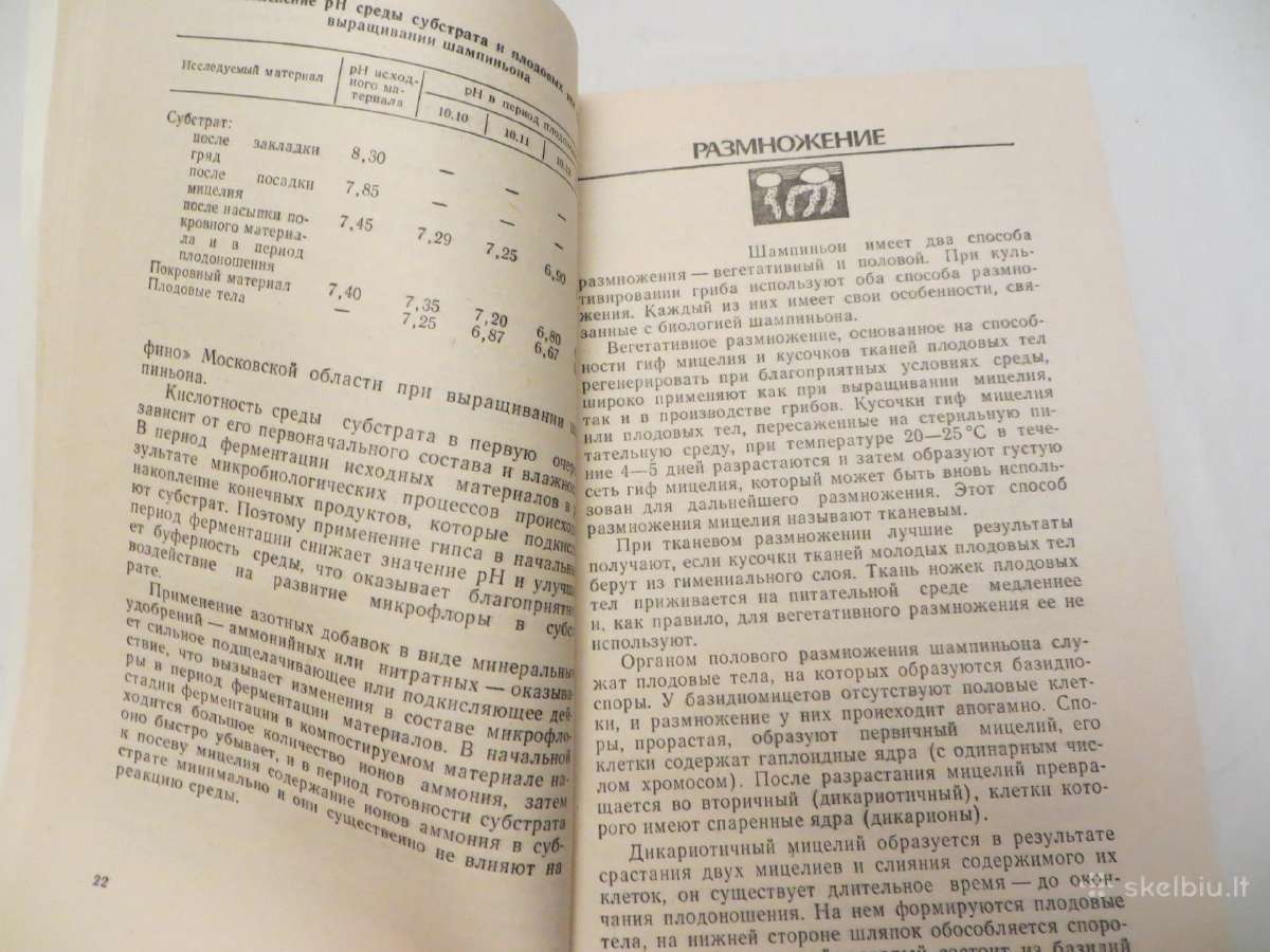 Knyga Šampinjonai. Jų auginimas, priežiūra 1989 - nuotraukos Nr. 9