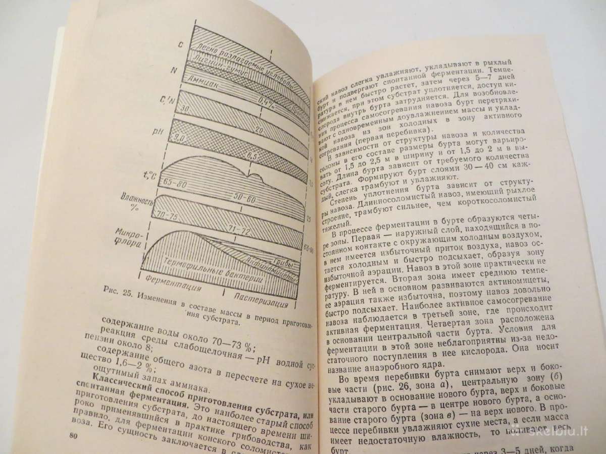 Knyga Šampinjonai. Jų auginimas, priežiūra 1989 - nuotraukos Nr. 13