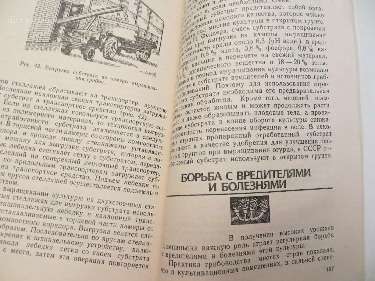 Knyga Šampinjonai. Jų auginimas, priežiūra 1989 - nuotraukos Nr. 17