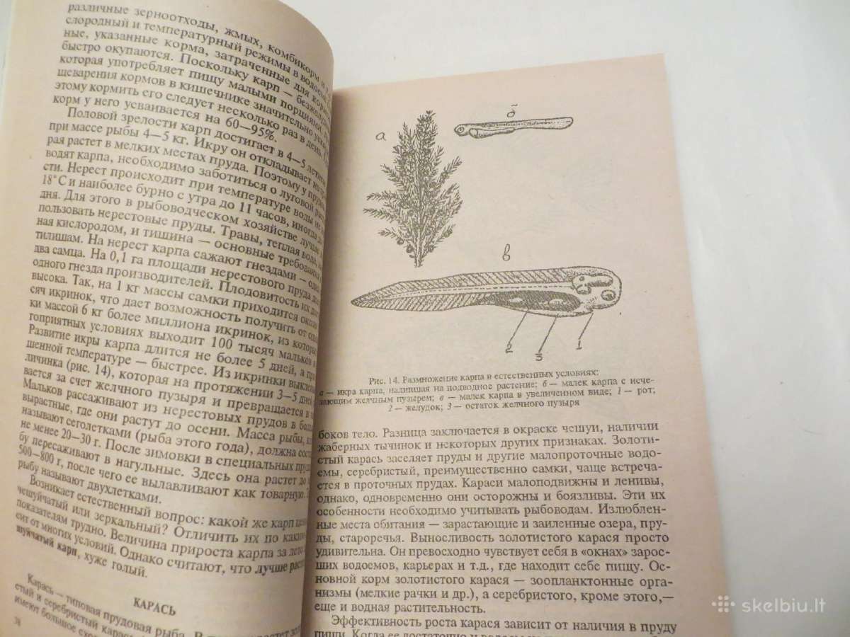 Knyga Žuvų ir vėžių veisimas tvenkiniuose 2001 - nuotraukos Nr. 9