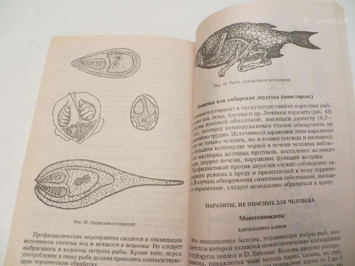 Knyga Žuvų ir vėžių veisimas tvenkiniuose 2001 - nuotraukos Nr. 20