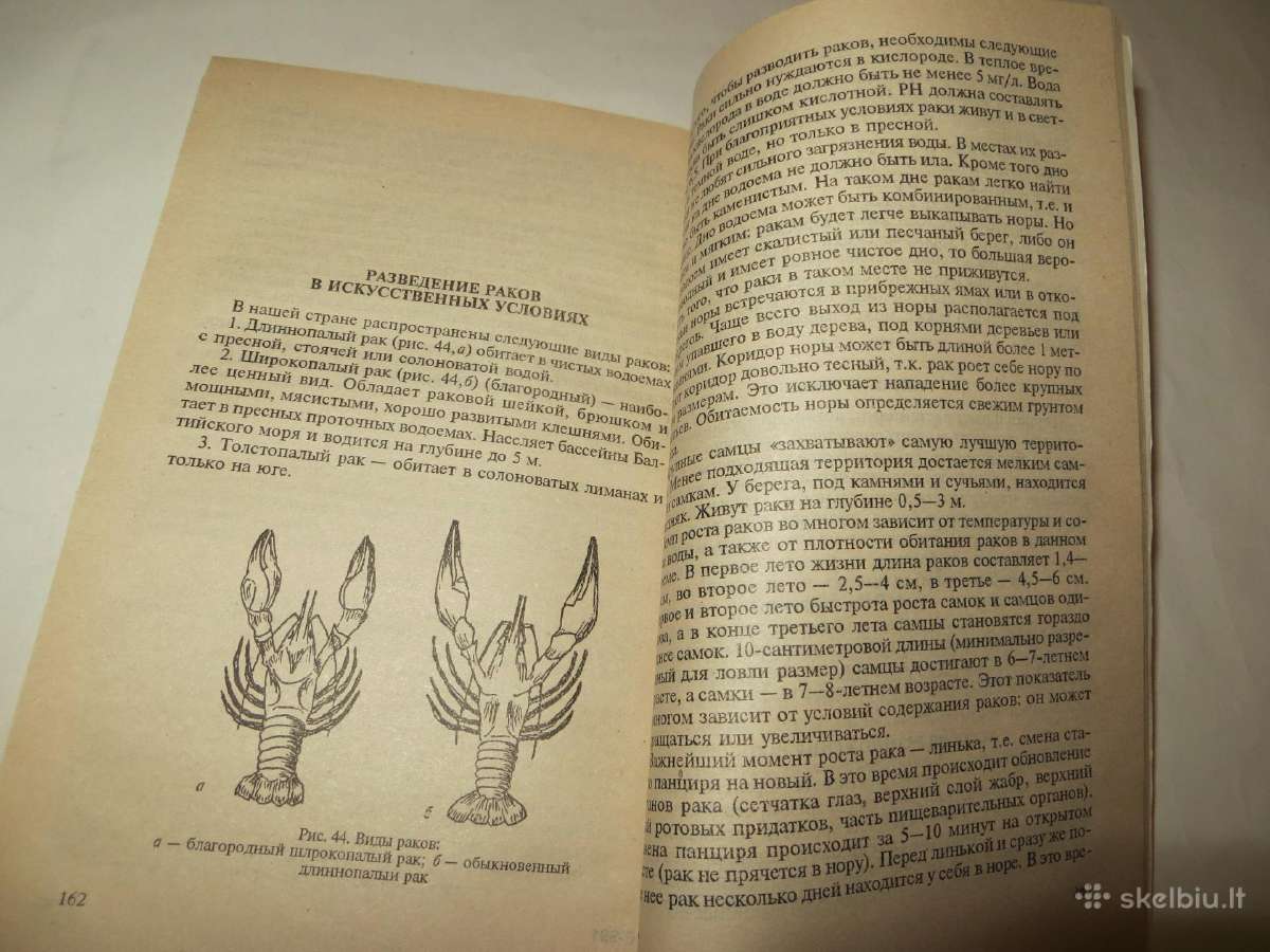 Knyga Žuvų ir vėžių veisimas tvenkiniuose 2001 - nuotraukos Nr. 22