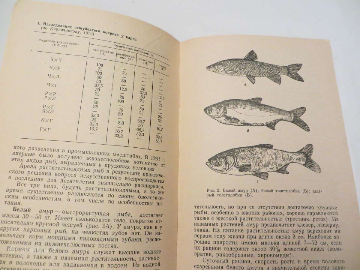 Knyga šilto vandens naudojimas žuvų auginimui 1985 - nuotraukos Nr. 8