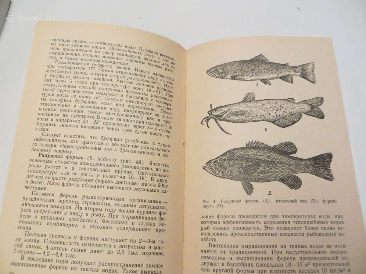 Knyga šilto vandens naudojimas žuvų auginimui 1985 - nuotraukos Nr. 9