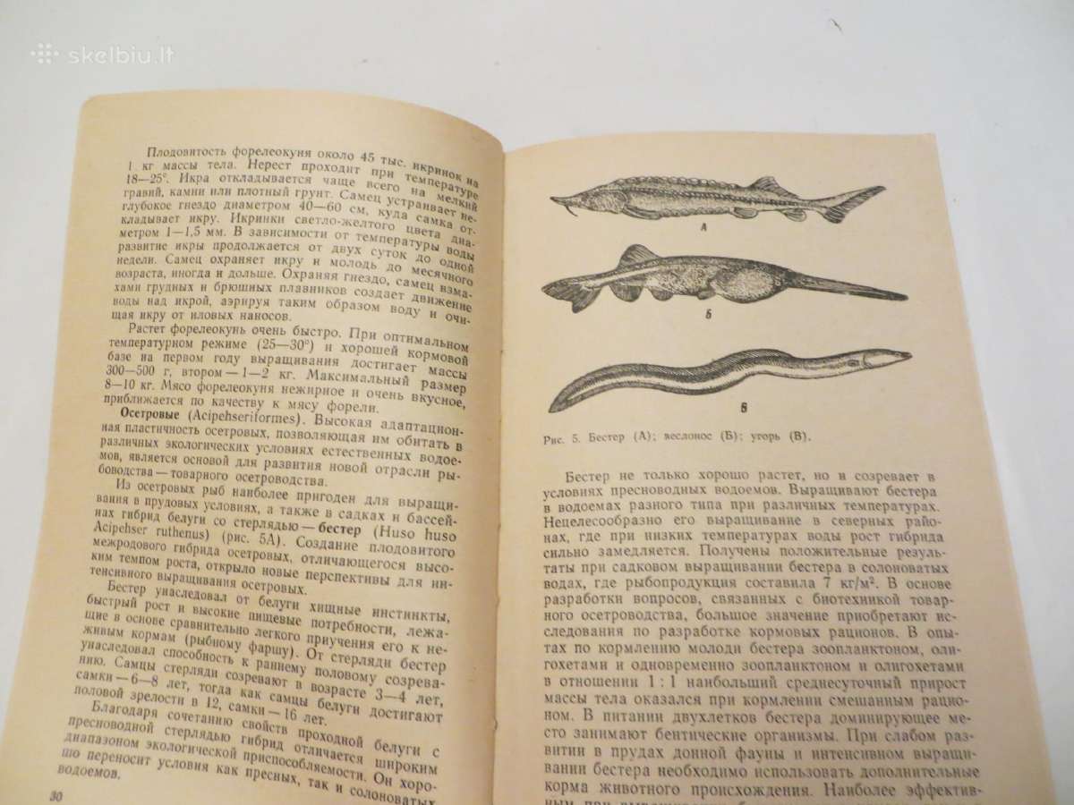 Knyga šilto vandens naudojimas žuvų auginimui 1985 - nuotraukos Nr. 10