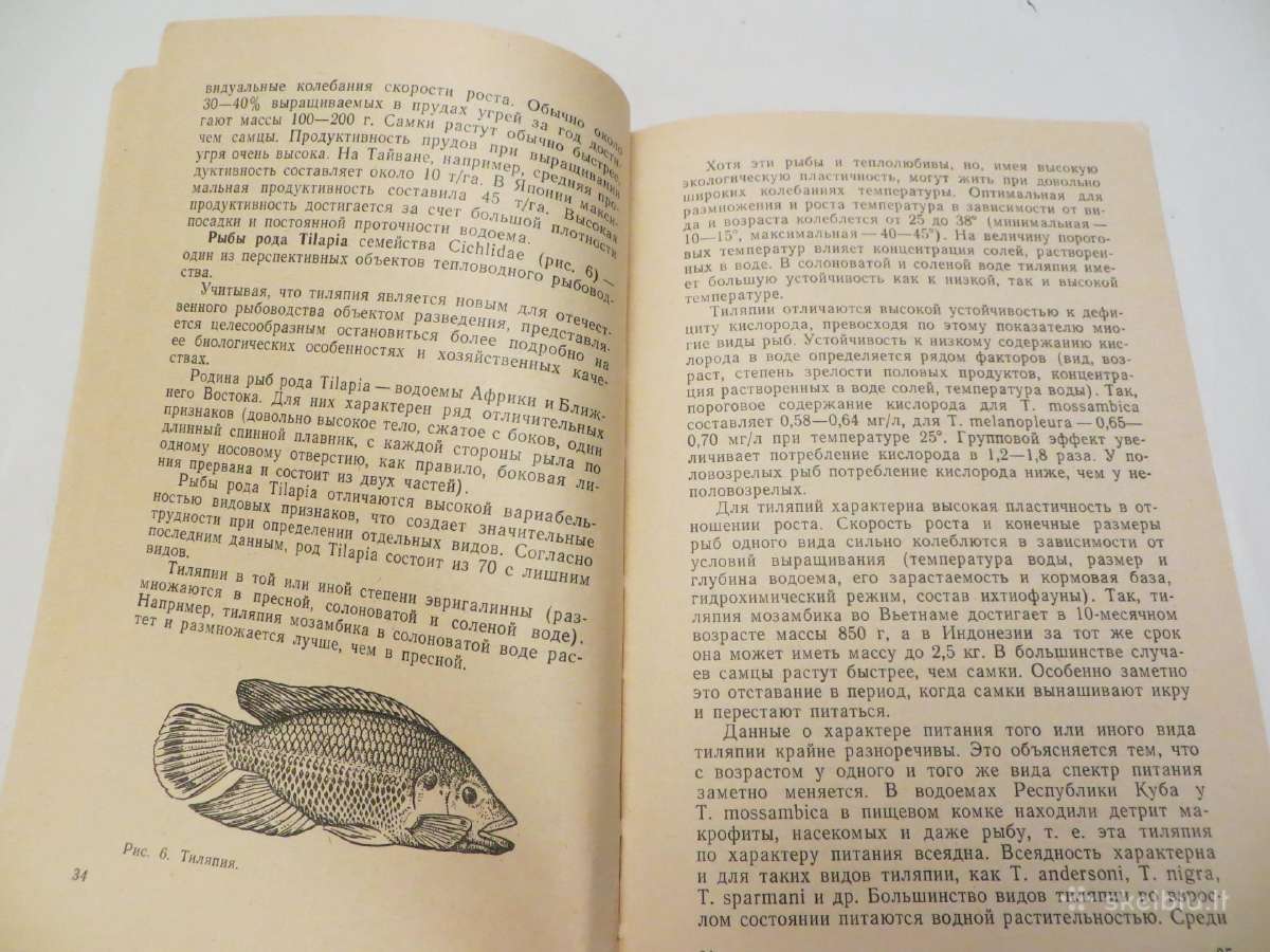 Knyga šilto vandens naudojimas žuvų auginimui 1985 - nuotraukos Nr. 11