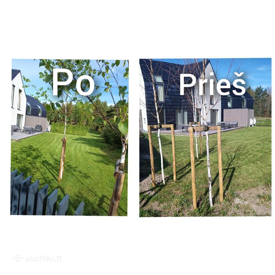 Skarifikavimas,žolės pjovimas, vejos Aeravimas, - nuotraukos Nr. 11