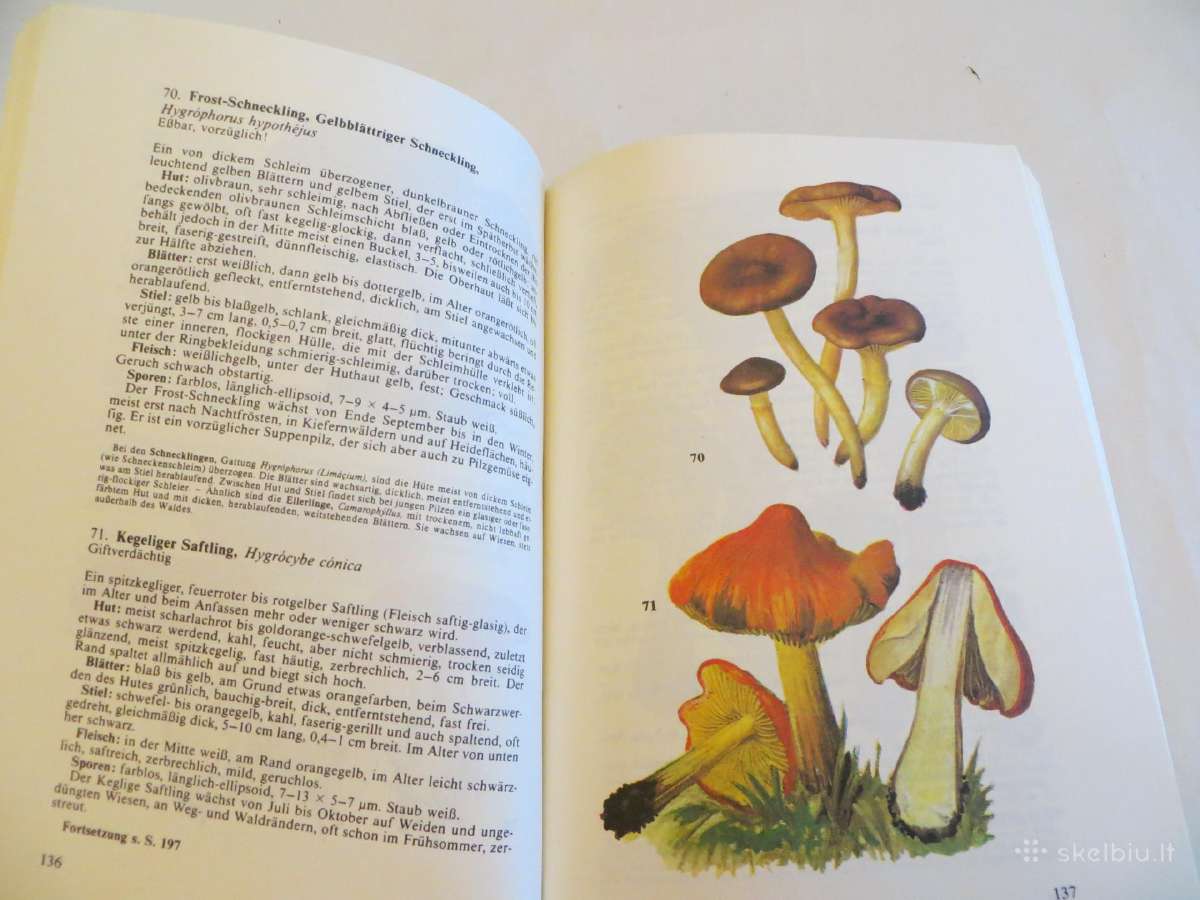Knyga Kišeninė grybautojų knyga. Vokiškai. 1987 - nuotraukos Nr. 19