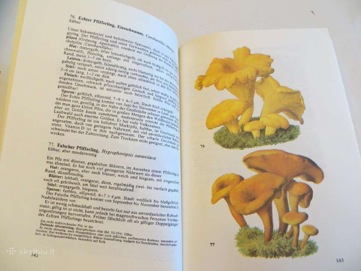 Knyga Kišeninė grybautojų knyga. Vokiškai. 1987 - nuotraukos Nr. 20