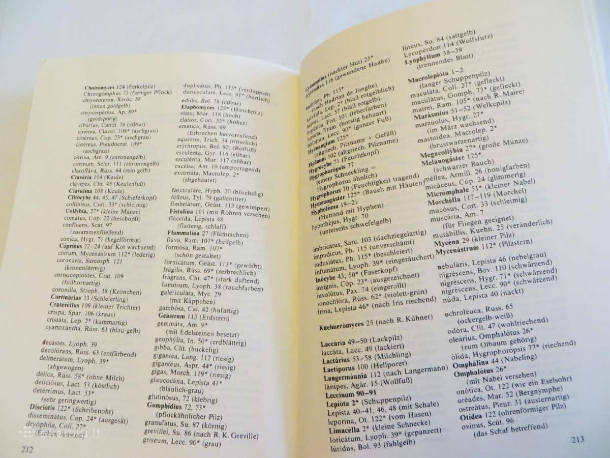 Knyga Kišeninė grybautojų knyga. Vokiškai. 1987 - nuotraukos Nr. 24