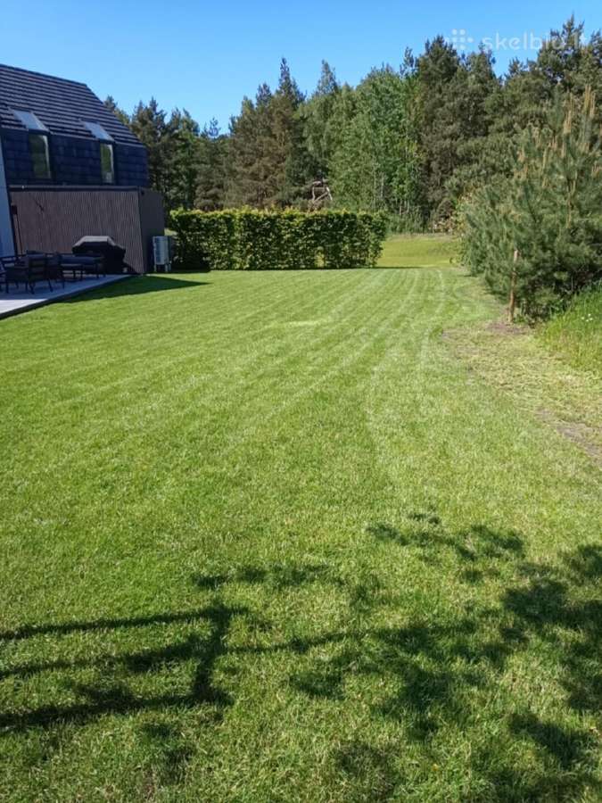 Skarifikavimas,žolės pjovimas, vejos Aeravimas, - nuotraukos Nr. 12