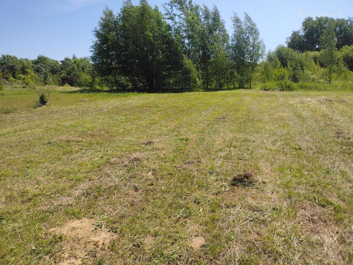 Žolės pjovimas Šiauliuose, Šiaulių raj. - nuotraukos Nr. 7