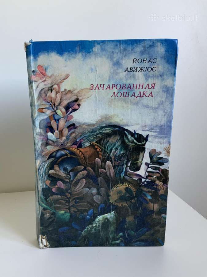Knyga - Zacherovanaja Loshadka