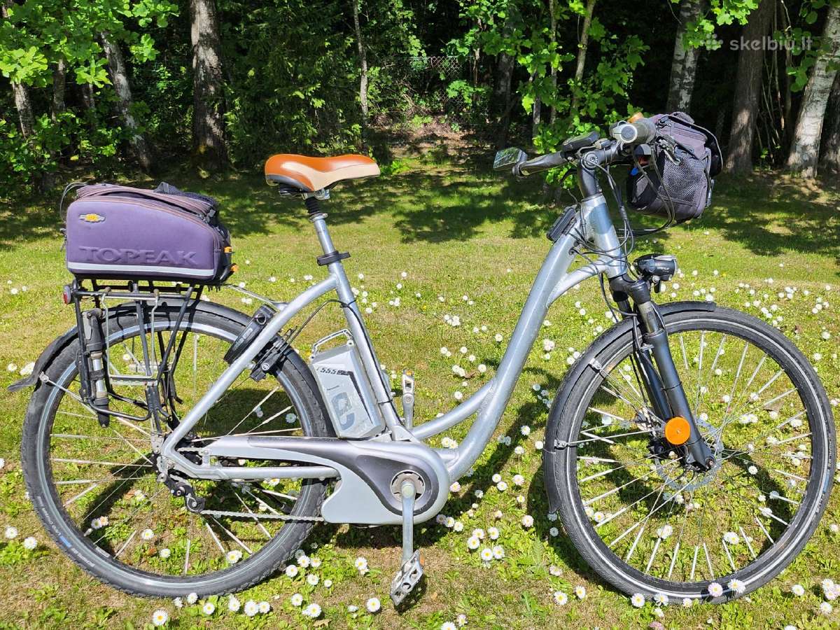 Flyer Rohloff 45km/h elektrinis dviratis