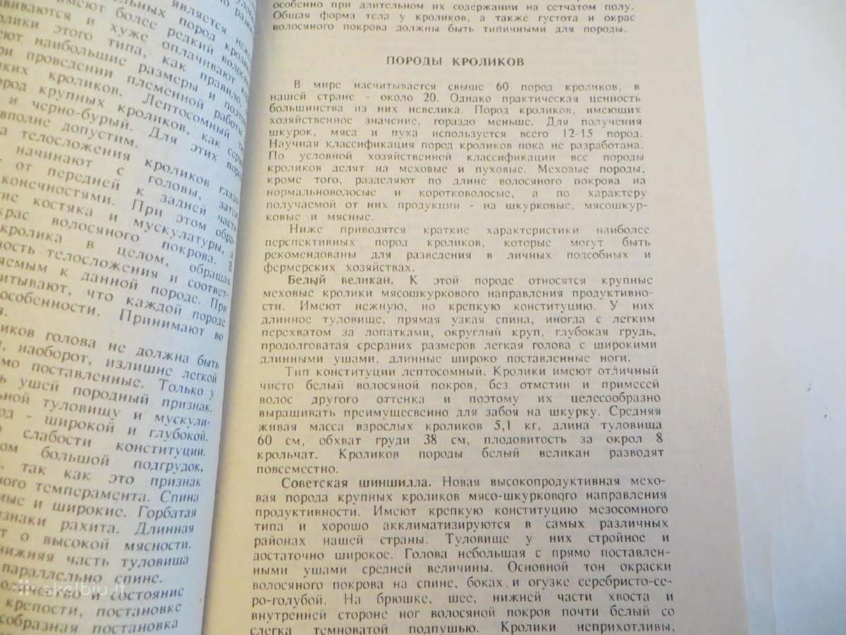 Knyga Triušiai nutrijos ir paukščiai Veisimas 1991 - nuotraukos Nr. 7