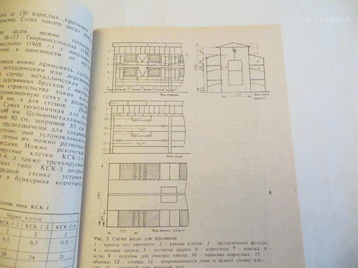 Knyga Triušiai nutrijos ir paukščiai Veisimas 1991 - nuotraukos Nr. 11