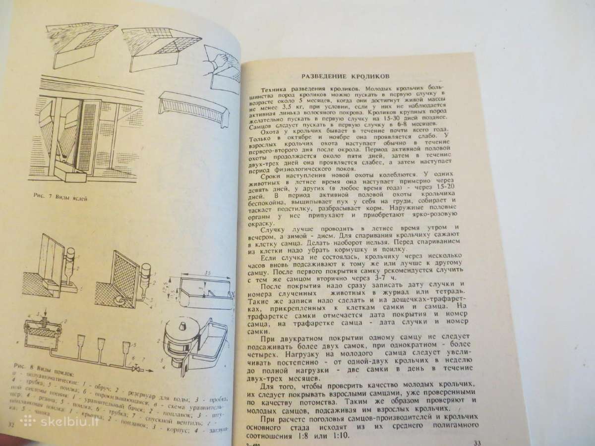 Knyga Triušiai nutrijos ir paukščiai Veisimas 1991 - nuotraukos Nr. 13