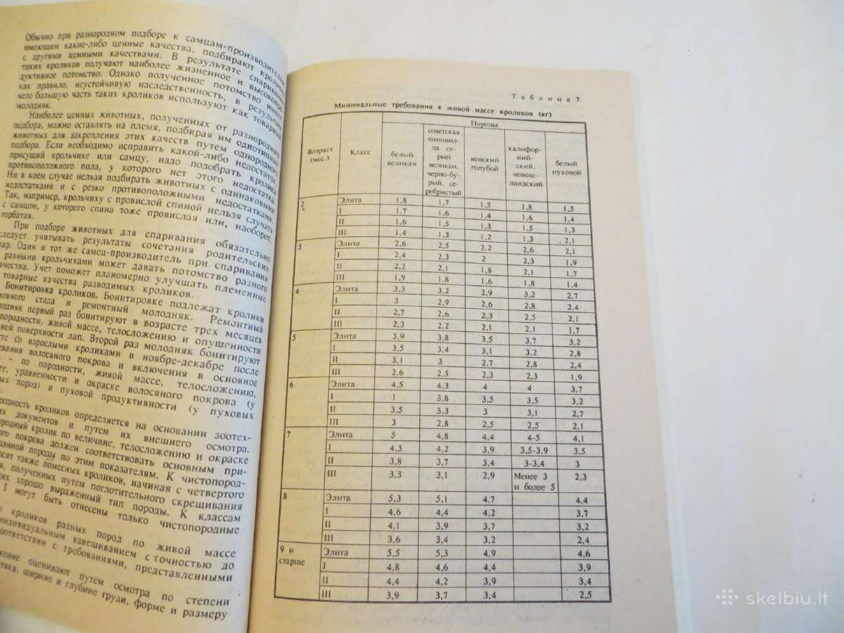 Knyga Triušiai nutrijos ir paukščiai Veisimas 1991 - nuotraukos Nr. 14