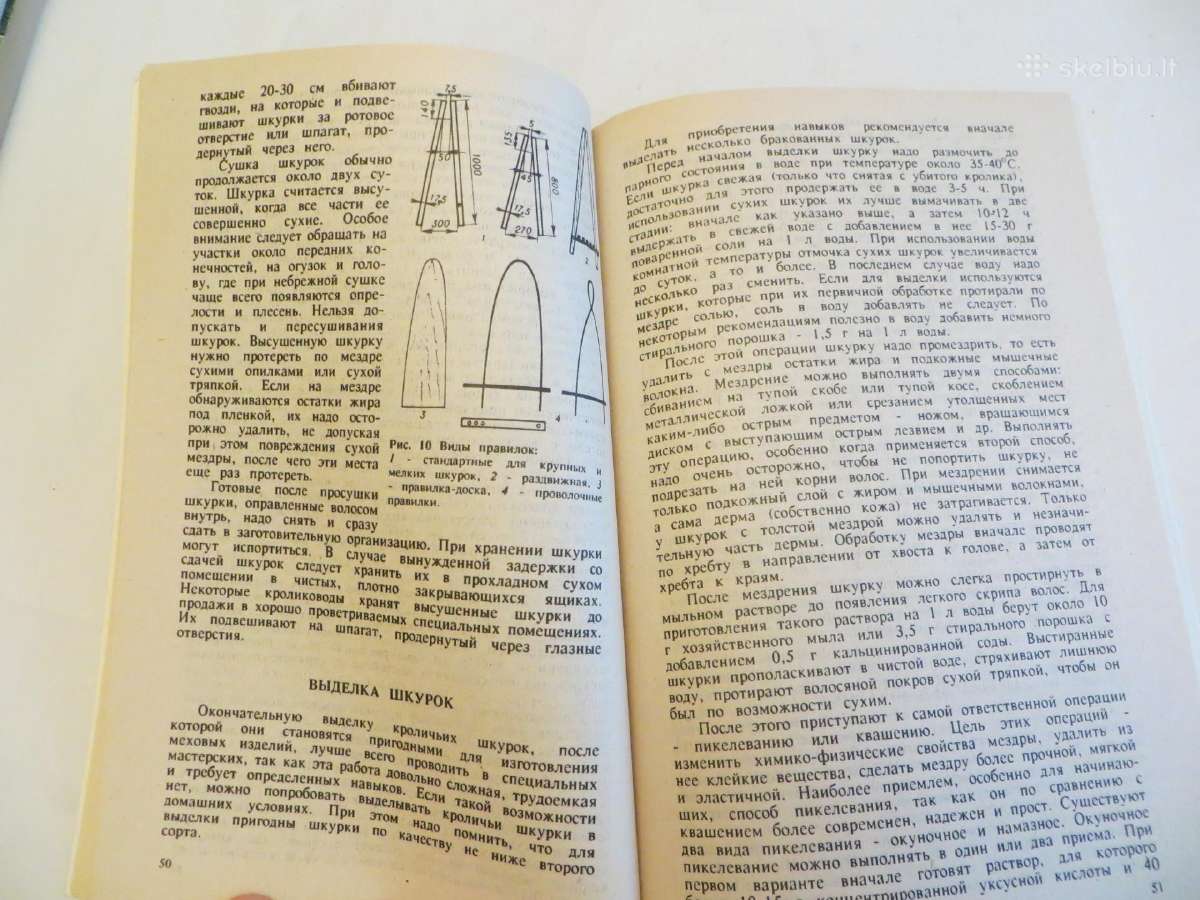 Knyga Triušiai nutrijos ir paukščiai Veisimas 1991 - nuotraukos Nr. 15