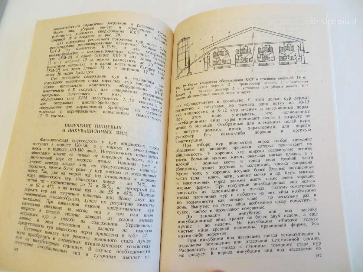 Knyga Triušiai nutrijos ir paukščiai Veisimas 1991 - nuotraukos Nr. 27
