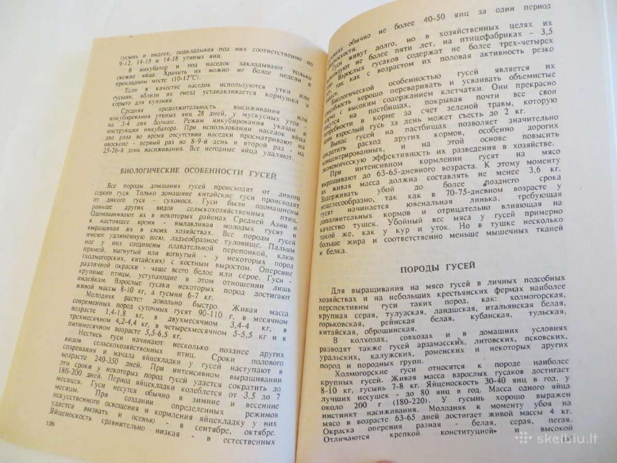 Knyga Triušiai nutrijos ir paukščiai Veisimas 1991 - nuotraukos Nr. 29