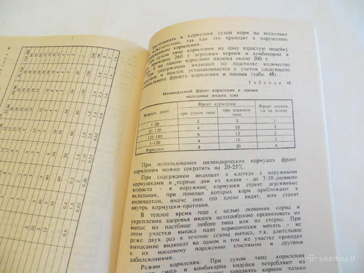 Knyga Triušiai nutrijos ir paukščiai Veisimas 1991 - nuotraukos Nr. 31