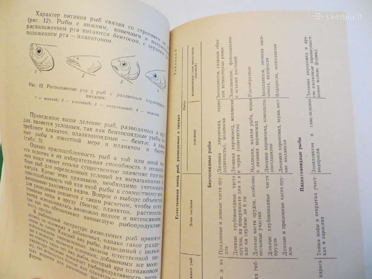 Knyga Žuvų auginimas tvenkiniuose. 1975 - nuotraukos Nr. 11