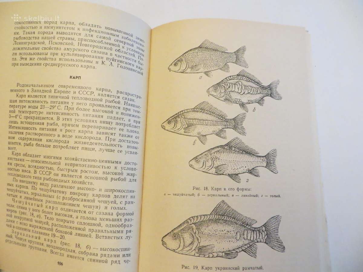 Knyga Žuvų auginimas tvenkiniuose. 1975 - nuotraukos Nr. 14