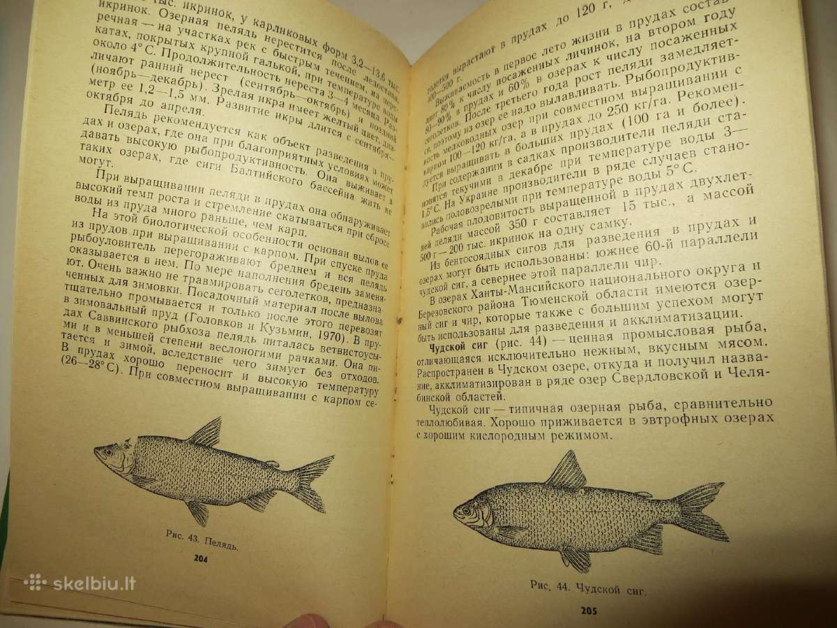 Knyga Žuvų auginimas tvenkiniuose. 1975 - nuotraukos Nr. 20
