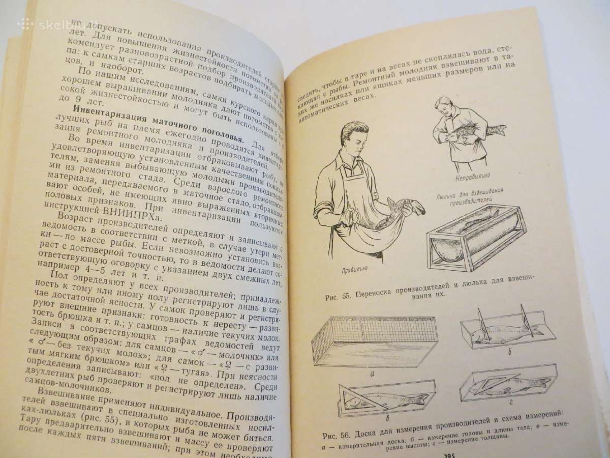 Knyga Žuvų auginimas tvenkiniuose. 1975 - nuotraukos Nr. 23