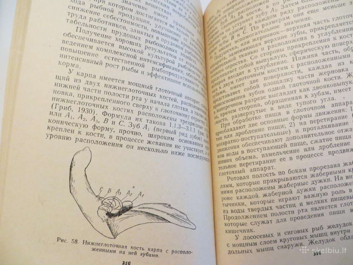 Knyga Žuvų auginimas tvenkiniuose. 1975 - nuotraukos Nr. 25