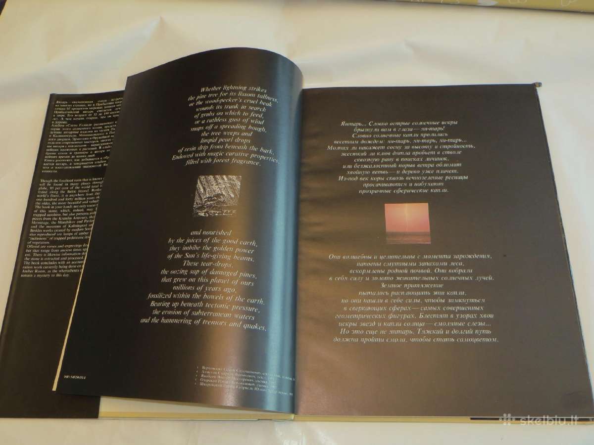Knyga Heliadų ašaros. Albumas. Apie gintarą. 1991 - nuotraukos Nr. 6