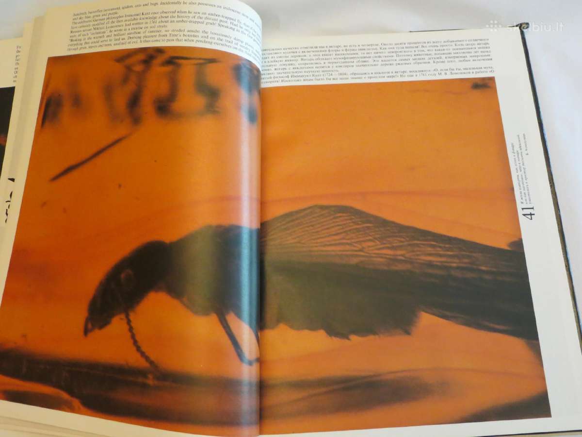 Knyga Heliadų ašaros. Albumas. Apie gintarą. 1991 - nuotraukos Nr. 14