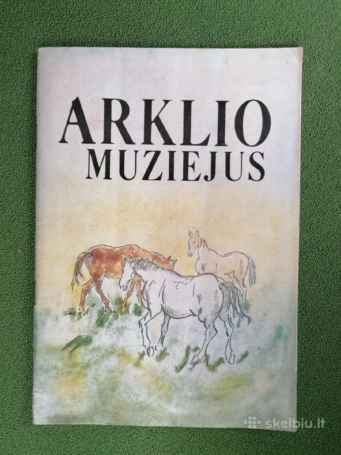 Daug knygu negroziniu knygu kelionių, istorijos - nuotraukos Nr. 3