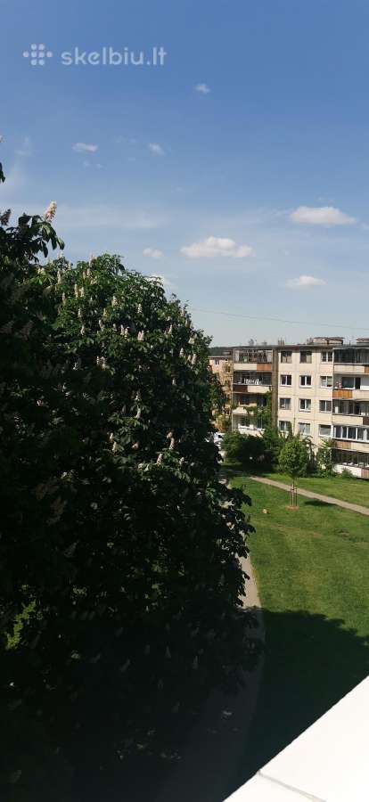 Trumpalaike butu nuoma, Savanorių 45 - nuotraukos Nr. 11