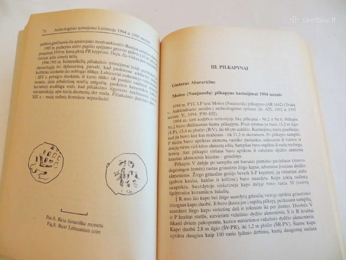 Knyga Archeologiniai tyrinėjimai Lietuvoje 1994-95 - nuotraukos Nr. 12