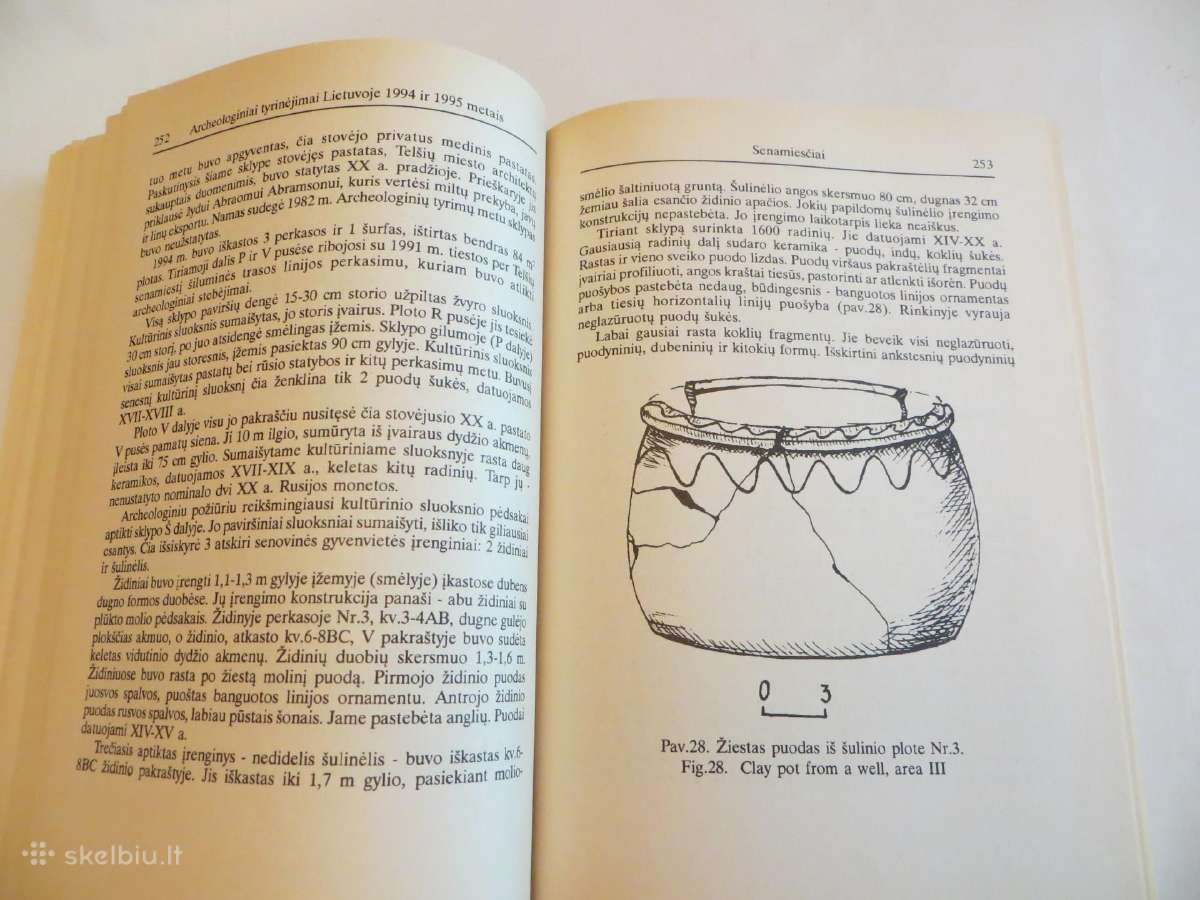 Knyga Archeologiniai tyrinėjimai Lietuvoje 1994-95 - nuotraukos Nr. 19