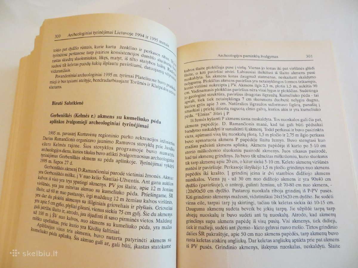Knyga Archeologiniai tyrinėjimai Lietuvoje 1994-95 - nuotraukos Nr. 21