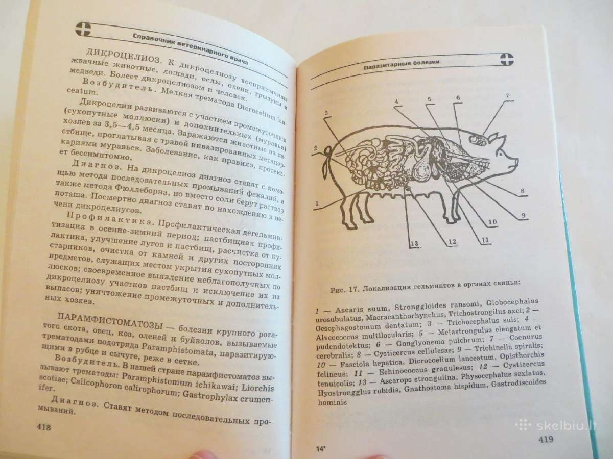 Knyga Veterinaro žinynas 2001 - nuotraukos Nr. 23