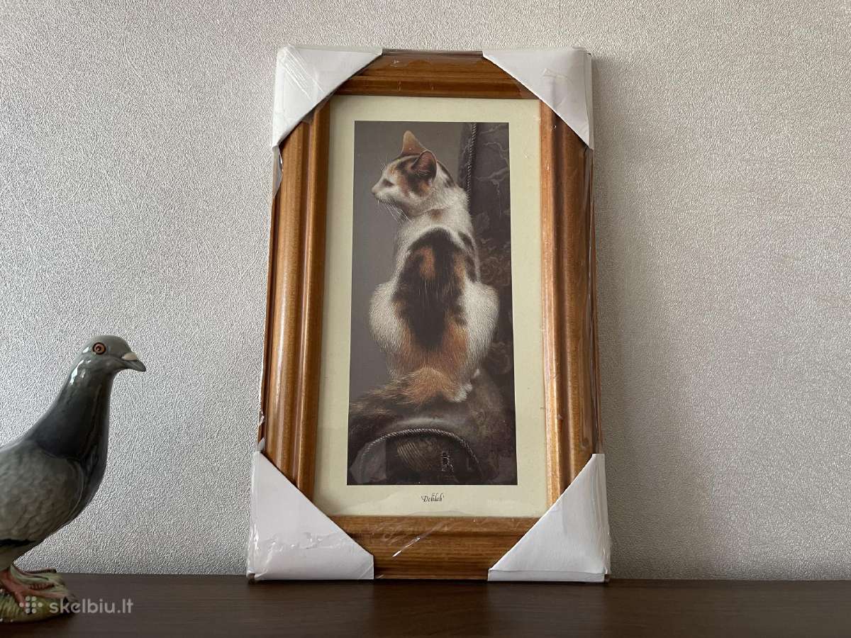Gal kam i kolekcija
