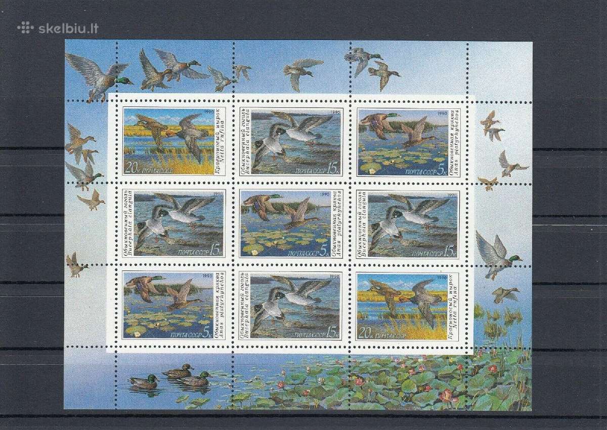 Ssr 1990 m. Antys, lapelis svarus